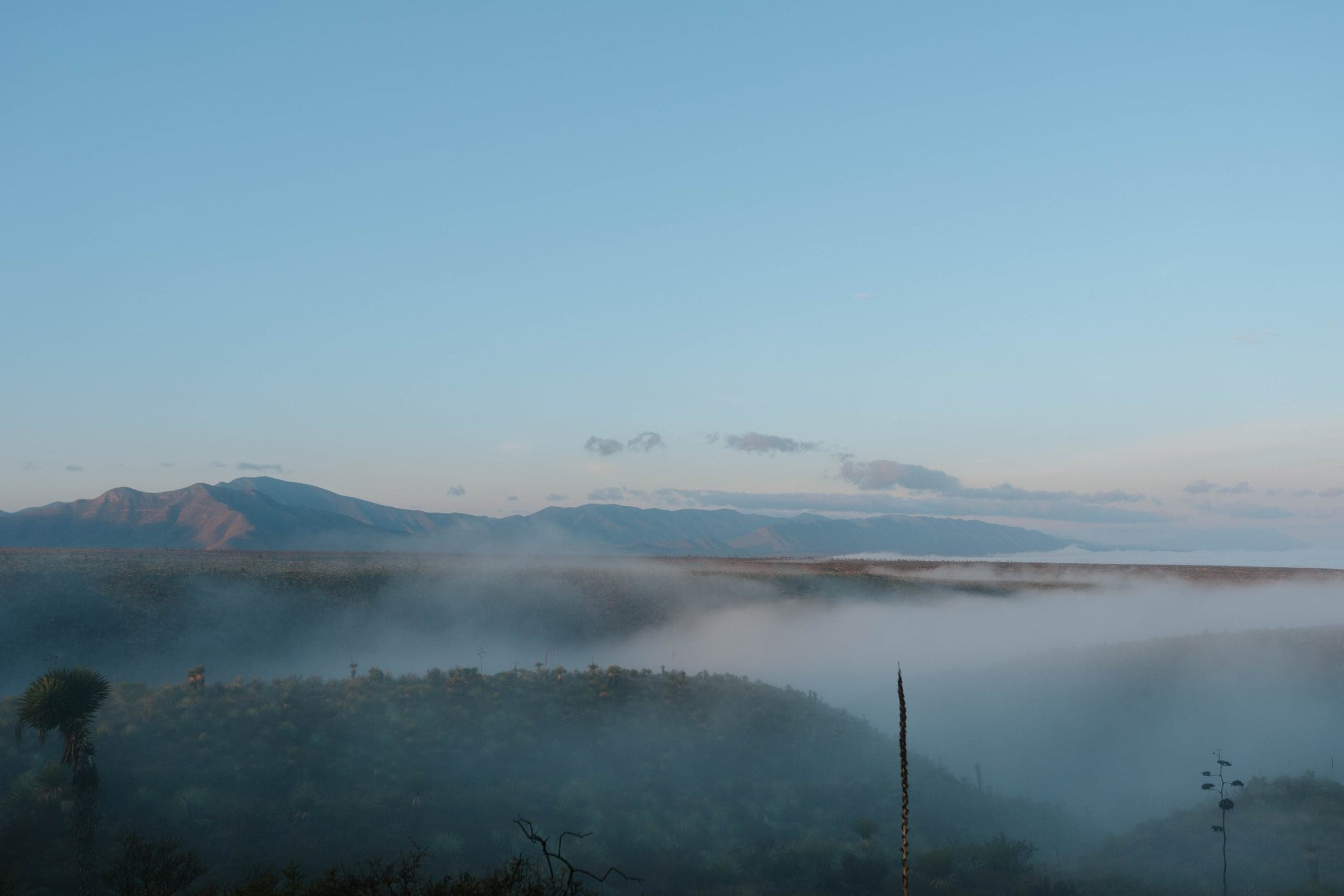 A sweeping Coahuila dawn — fog pooling in the valleys, mountains catching the first light under a big pale-blue sky
