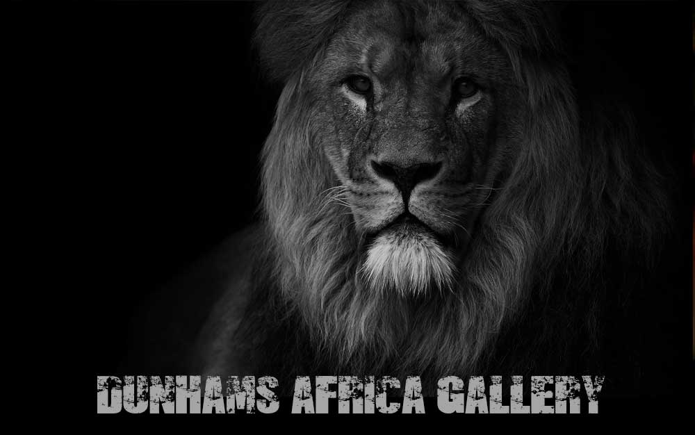 dunhams-africa-gallery